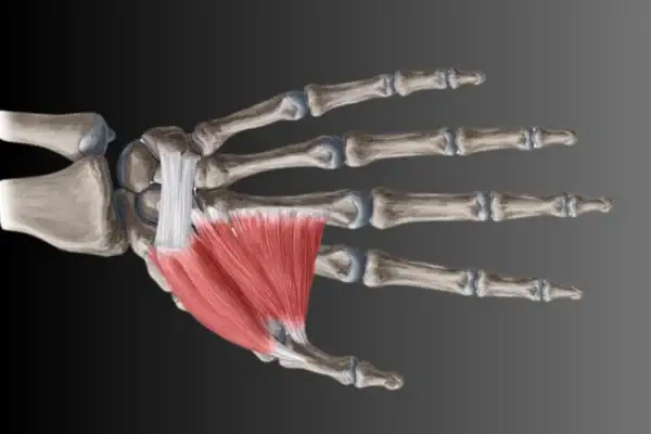 Muscle atrophy in the thumb area