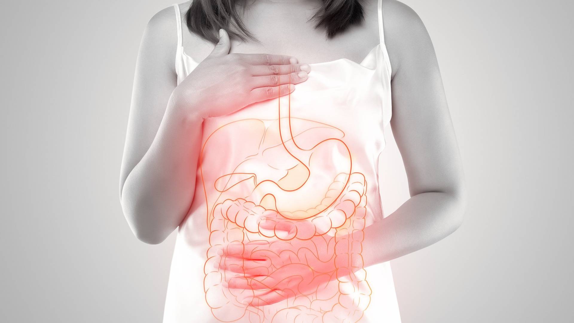 Laboratorio Analisi D'Elia