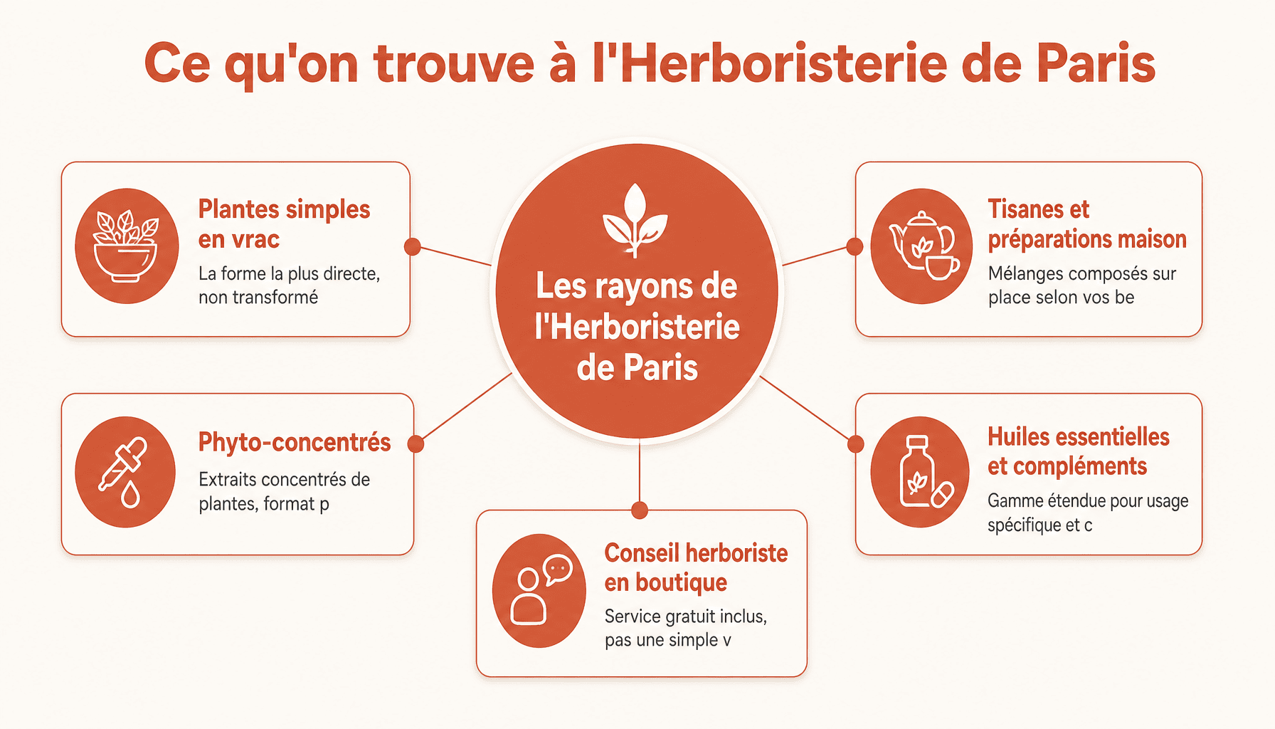 Guide des produits à l'Herboristerie de Paris : tisanes, plantes en vrac, phyto-concentrés et huiles essentielles