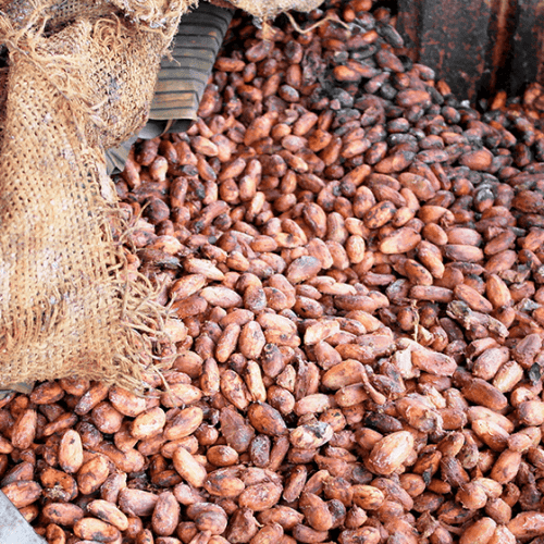 cacao-vrac