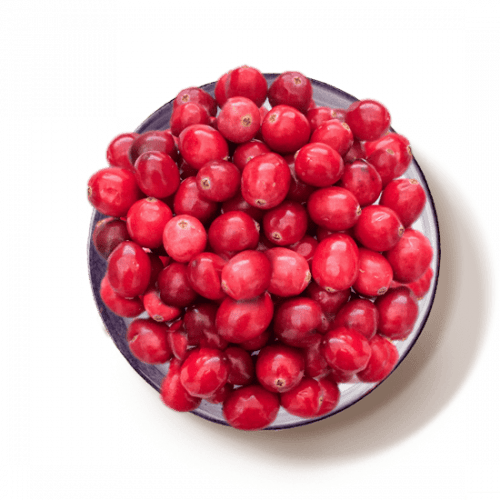 deco-cranberries