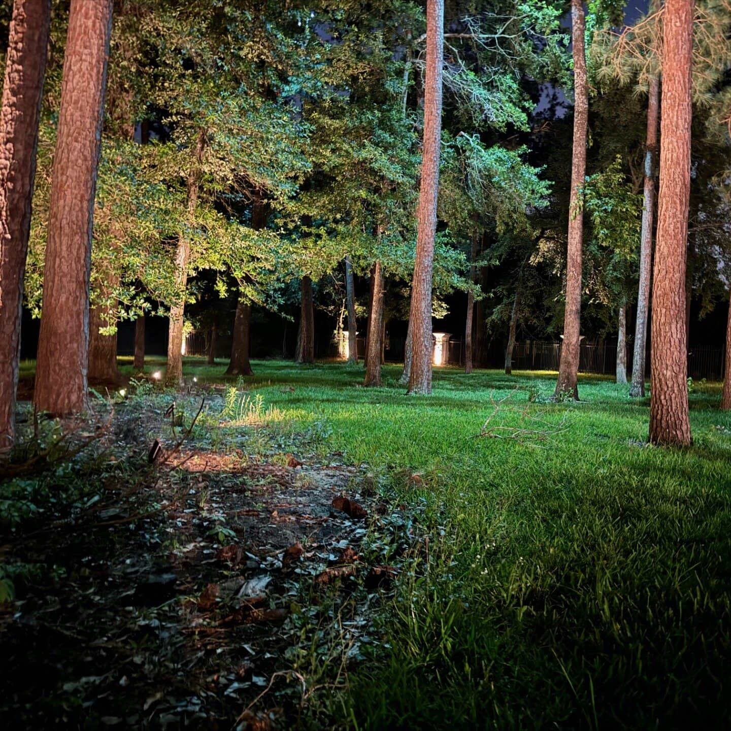 Uncategorized