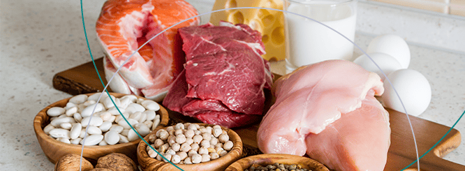 Protein after Bariatric Surgery Protein foods after bariatric surgery