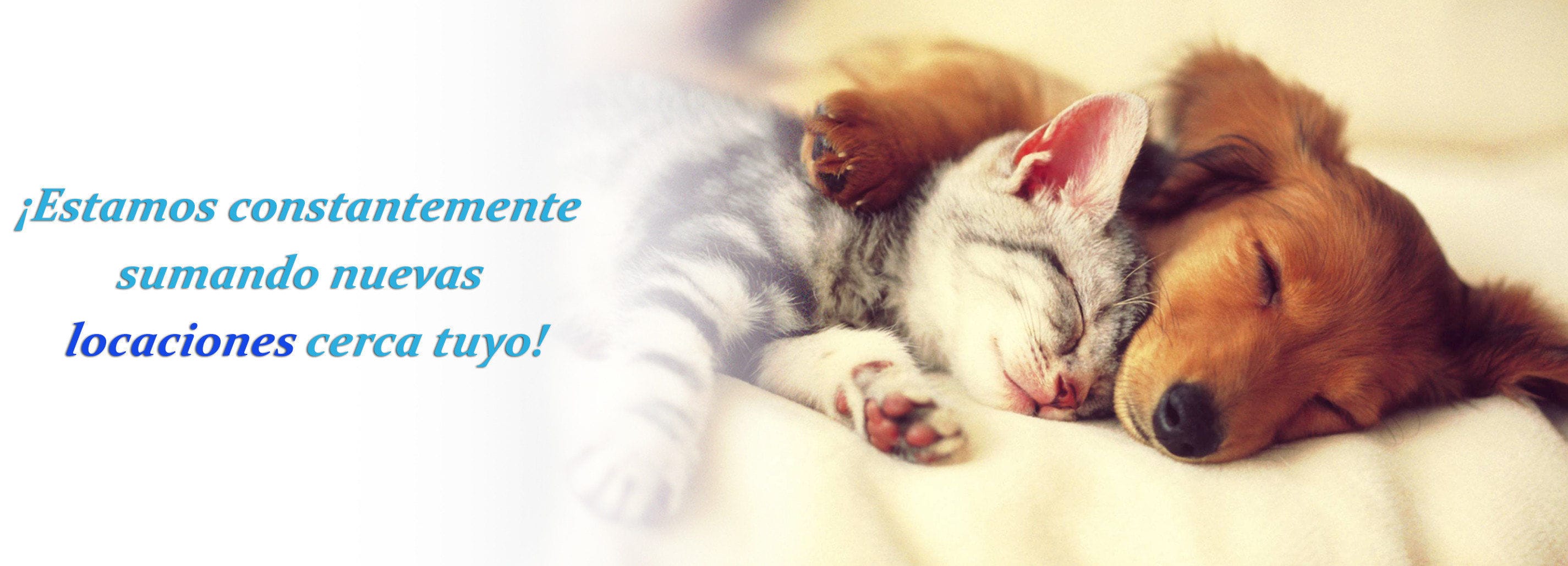 Horarios y Ubicaciónes