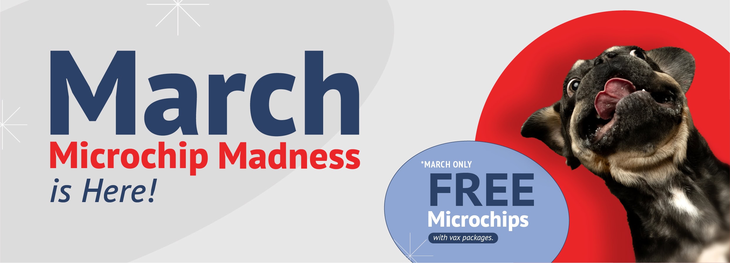 March Microchip Madness - Free Microchip with Package