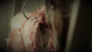 shutterstock_1303775446 (2)