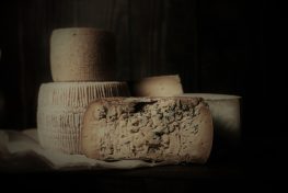 shutterstock_1590960085 (2)