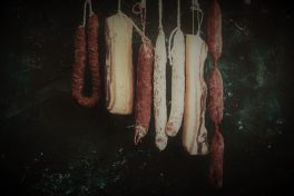 shutterstock_444729478 (2)