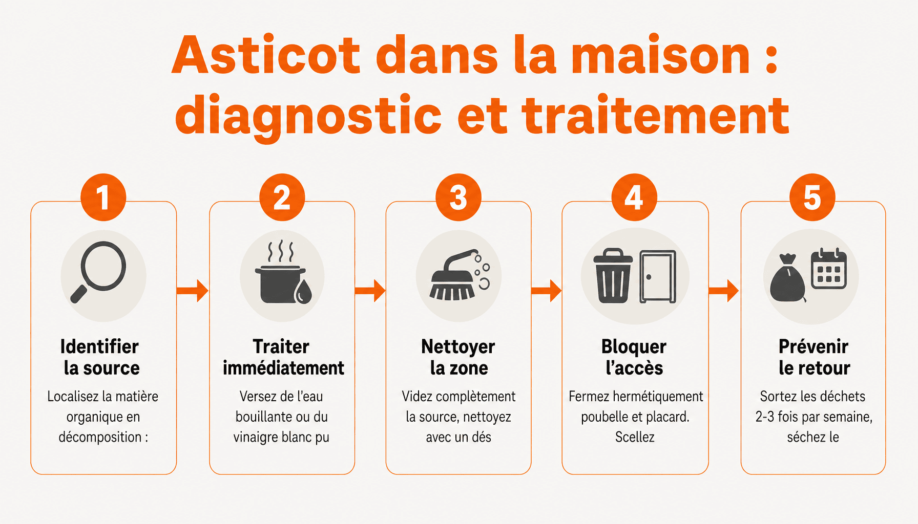 Guide des 5 étapes pour identifier et éliminer les asticots : asticot dans la maison signification, causes et solutions pratiques