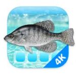Aquarium 4K – Live Wallpaper 1.1.0