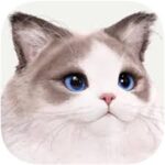 inZOI 0.4.5
