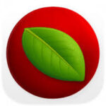 Lingon Pro 10.1.4
