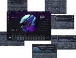 Minimal Audio All Access 2026.02