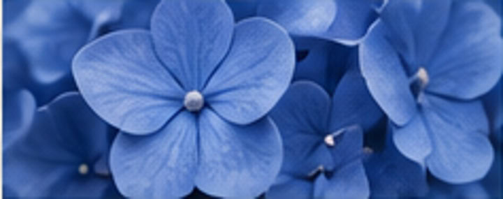 Distinct floral arrangement for funeral costs