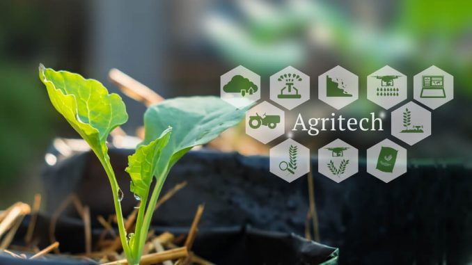 Agritech Startup Challenges to Support Indonesian Food Security