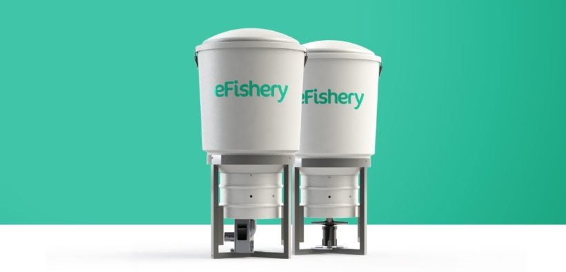 eFishery Startup Encourages Women to Become Aquaculture Entrepreneurs