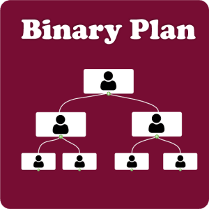 Binary_plan_banner