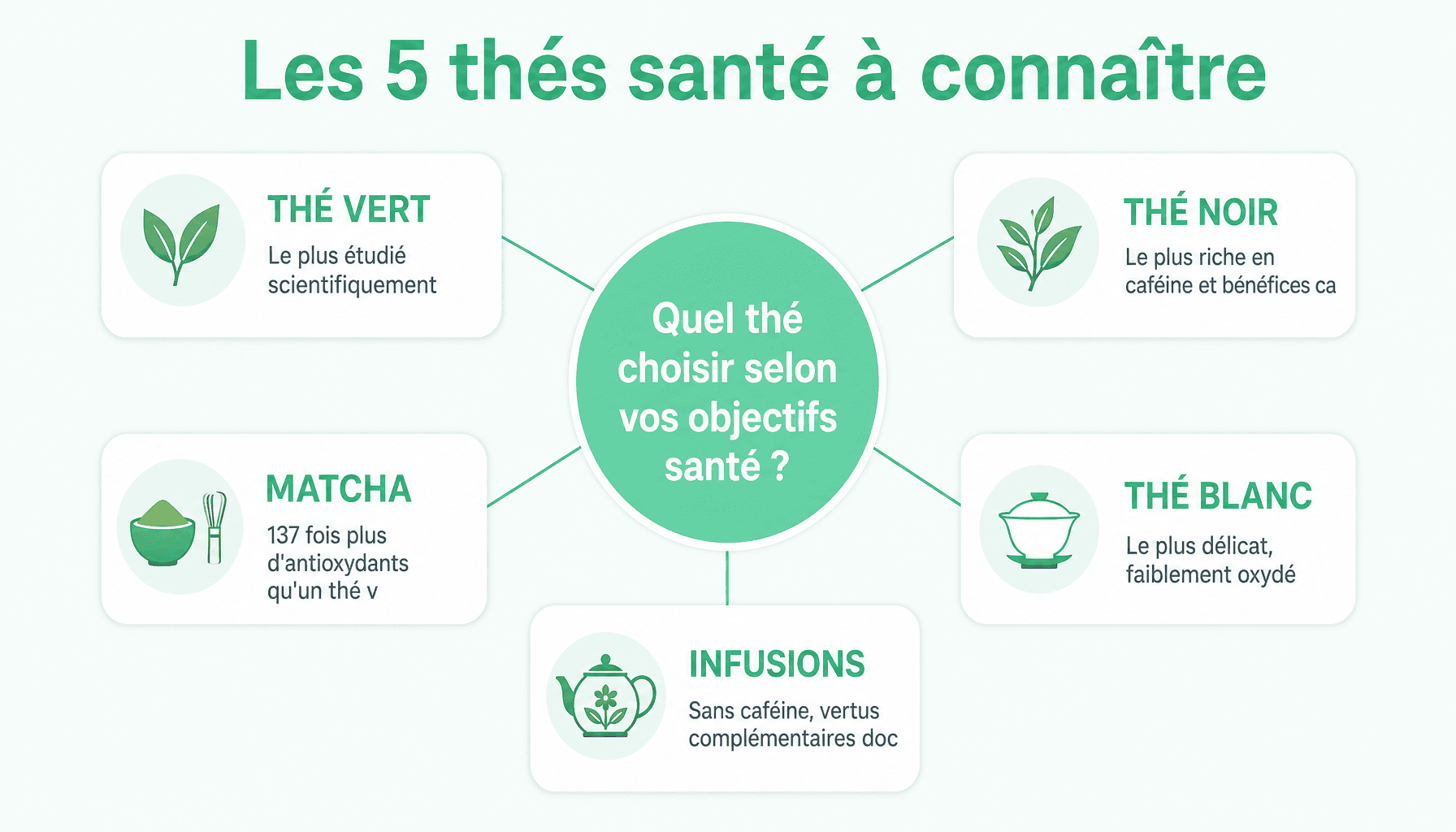 Guide comparatif des meilleurs thés pour la santé : vert, noir, blanc, oolong et matcha avec leurs bénéfices