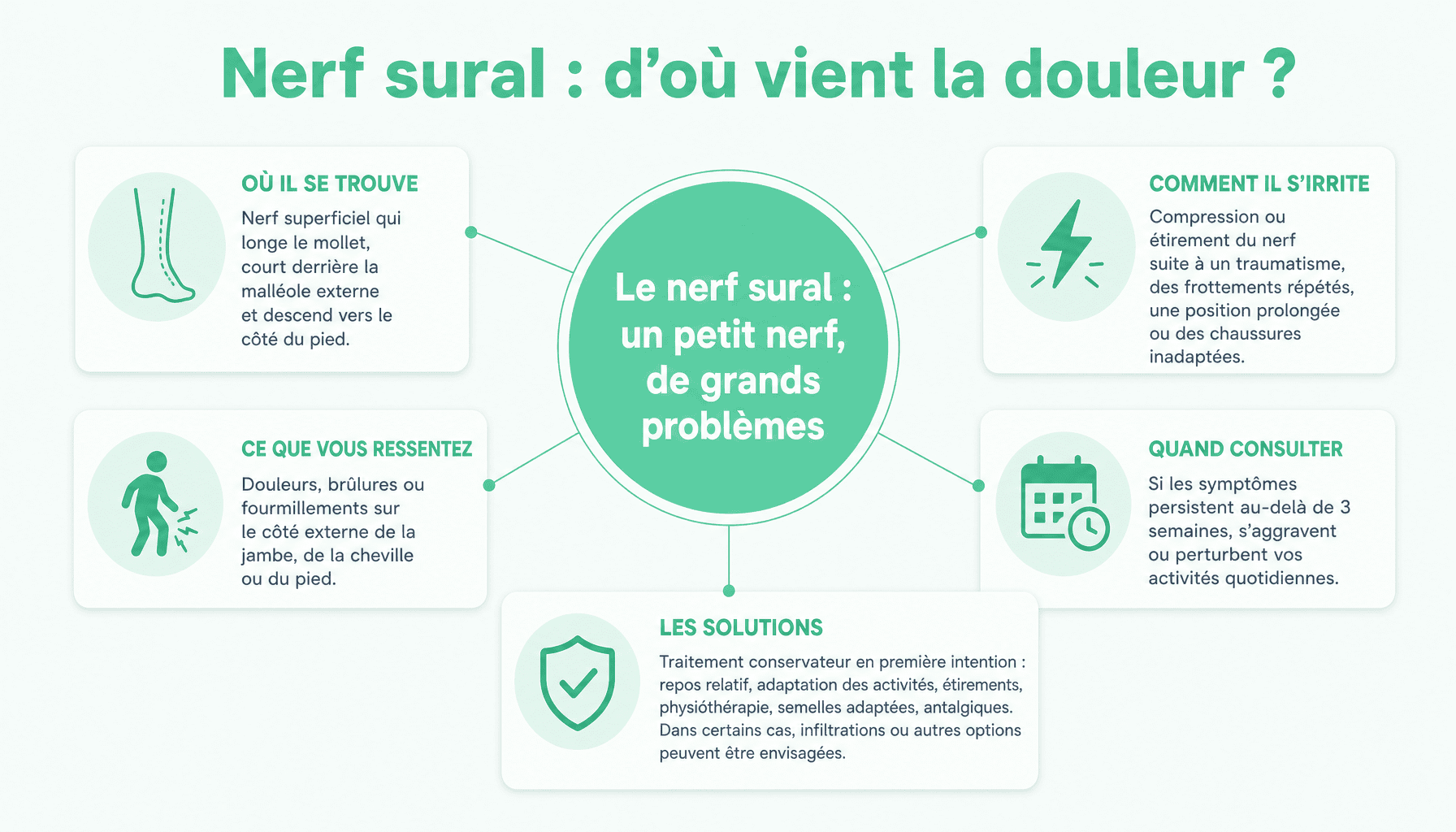 Schéma anatomique du nerf sural : trajet du mollet au pied, causes de douleur sur le côté extérieur du pied