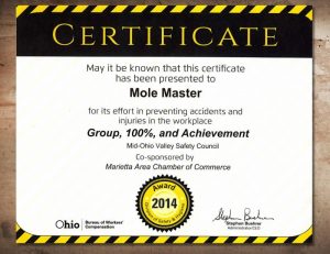Molemaster Safety Certificate for worker safety in silo cleaning