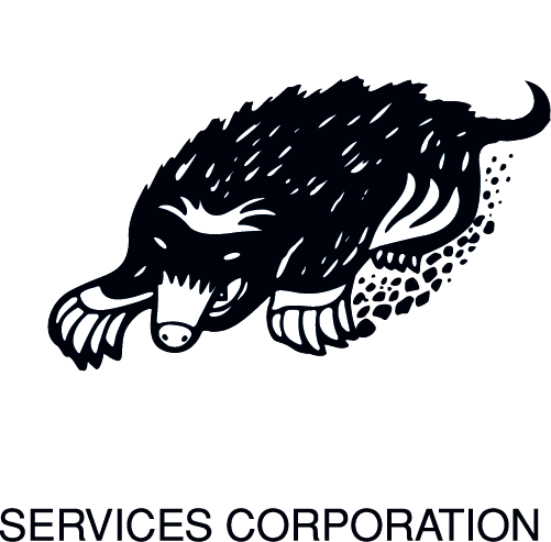 Mole-Master Logo