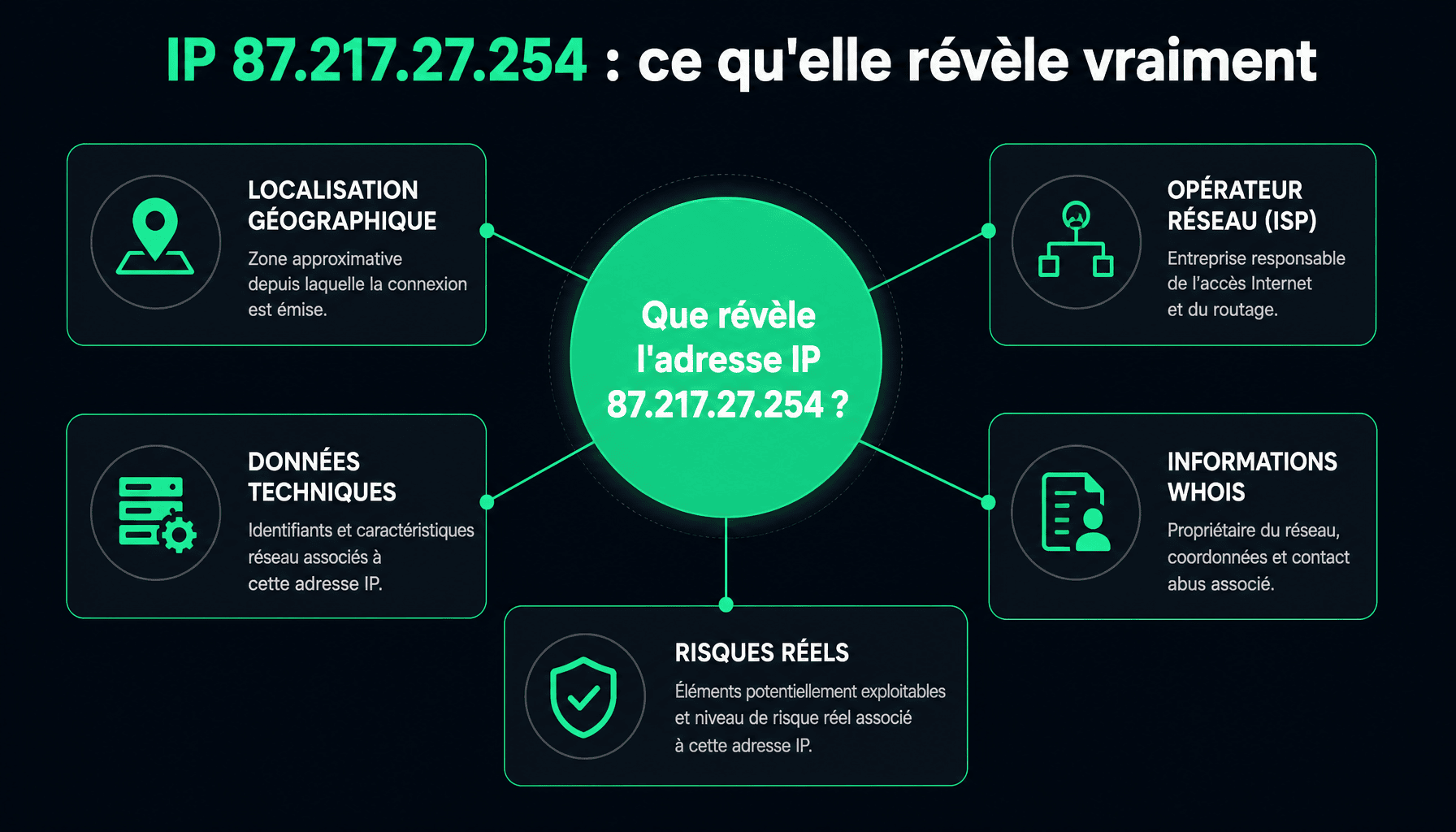 Infographie : décomposition des informations techniques et géographiques de l'adresse IP 87.217.27.254