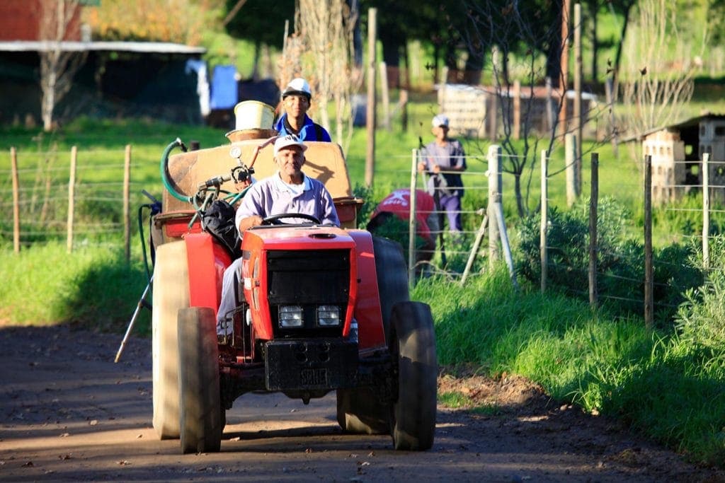 Mount Joy Farm Worker Tractor
