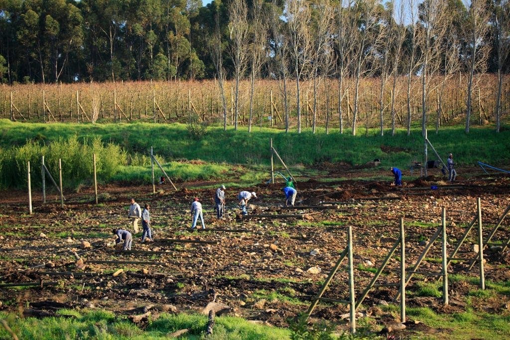 Mount Joy Workers Seeding Crops