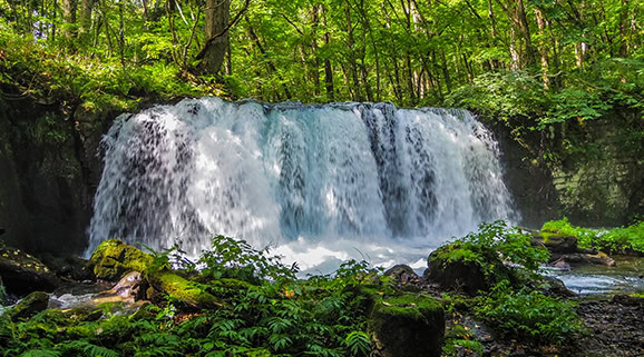 「みず」を考える