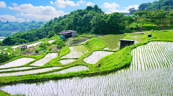 「さと」を考える