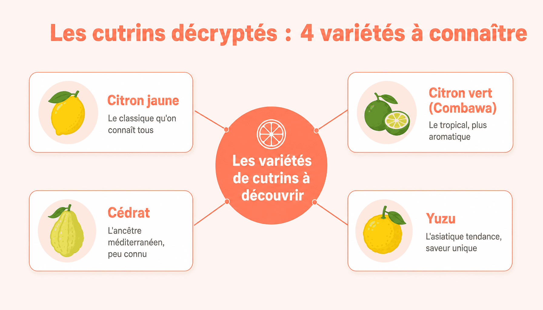 Infographie des 4 principales variétés de cutrins : citron jaune, citron vert, cédrat et yuzu avec leurs caractéristiques