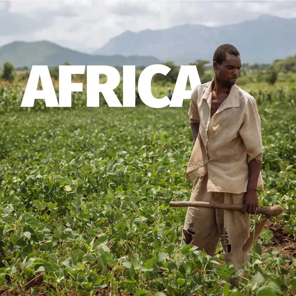 Africa-1