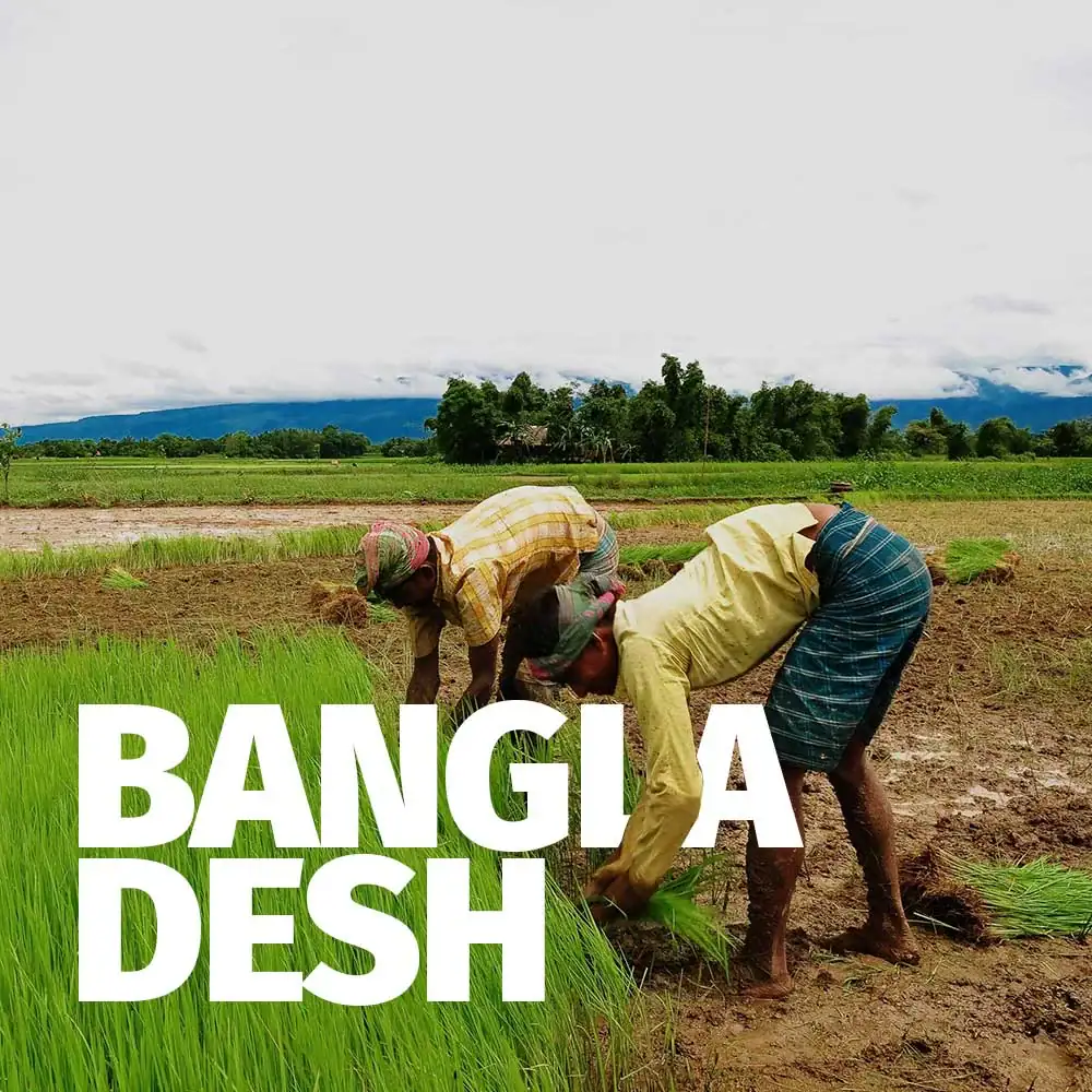 Bangla-Desh