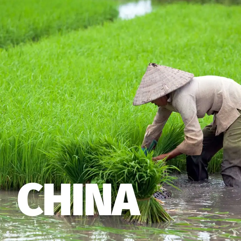 China-1