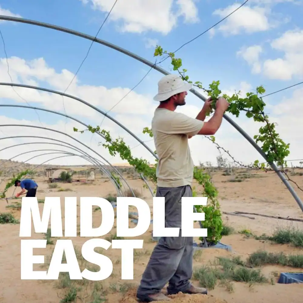Middle-East