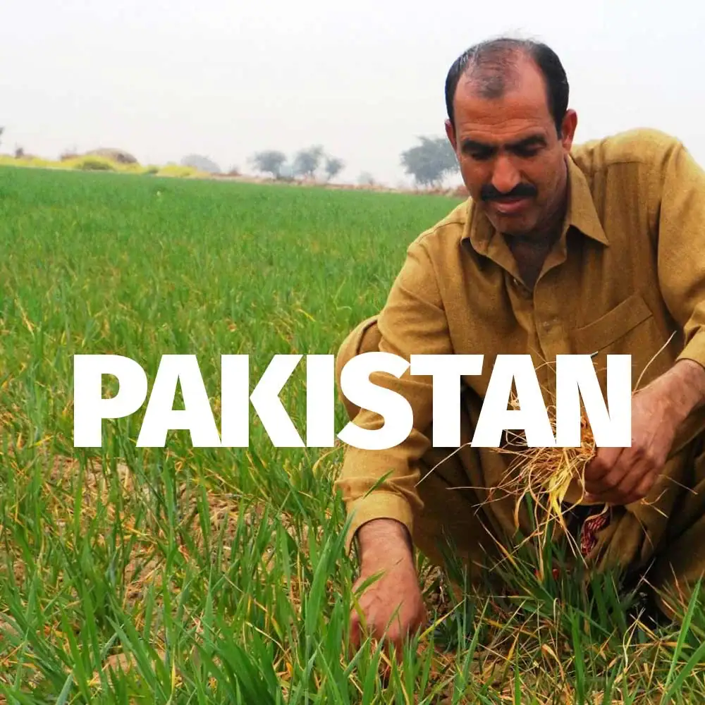 Pakistan