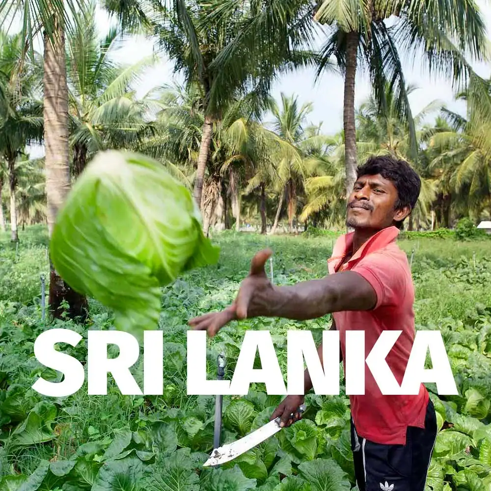 Sri-Lanka