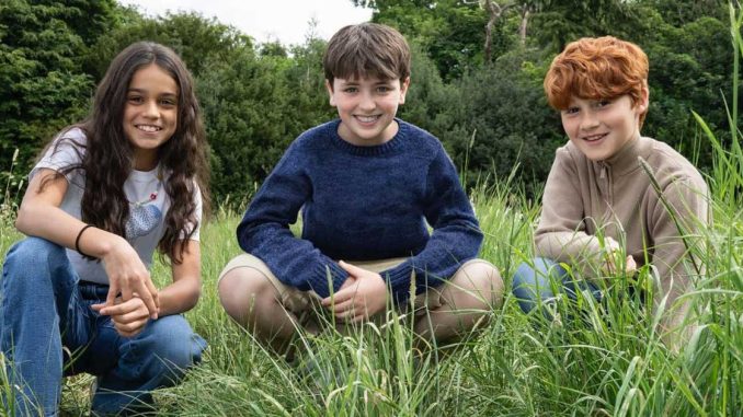 harry-potter-hbo-harry-ron-hermione harry potter hbo harry ron hermione