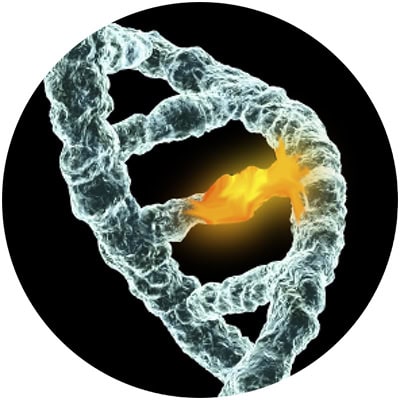circ3
