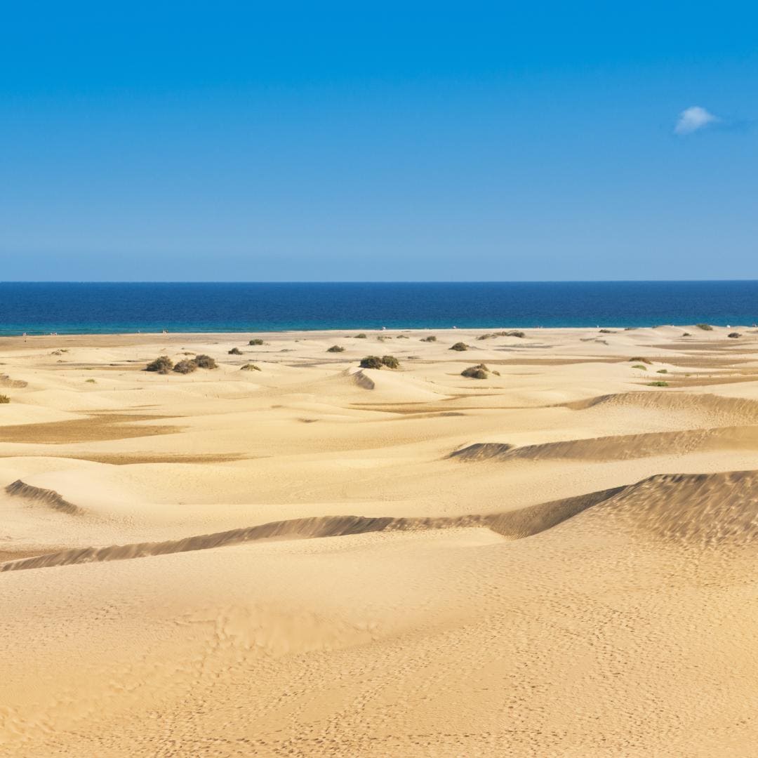 Dünenbereich von Maspalomas