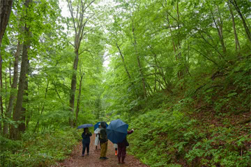 【アロマ】2025年10月　yuicaスペシャリスト高山研修　開催のお知らせ  [10月18日(土)、19日(日)]