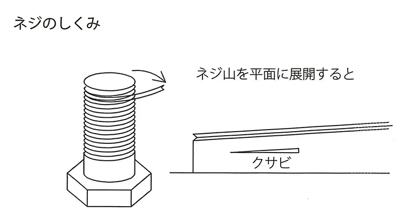 木のネジの構造