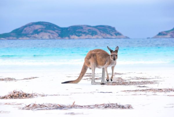 Moving to Australia