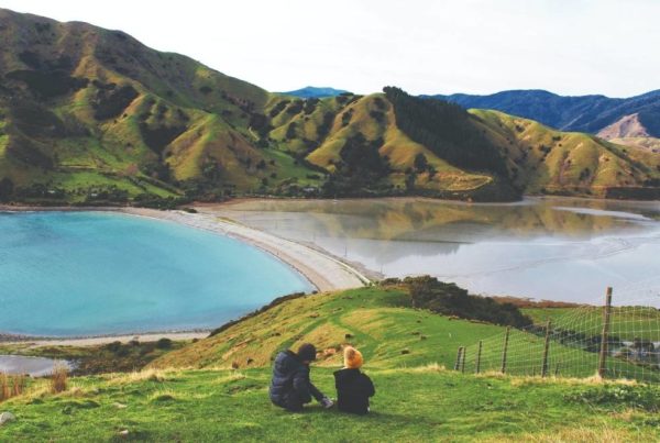 Move To New Zealand