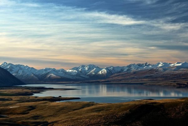 Moving Back to New Zealand