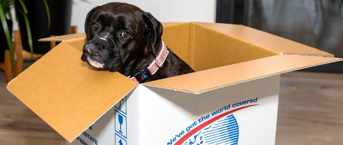 Overseas Shipping