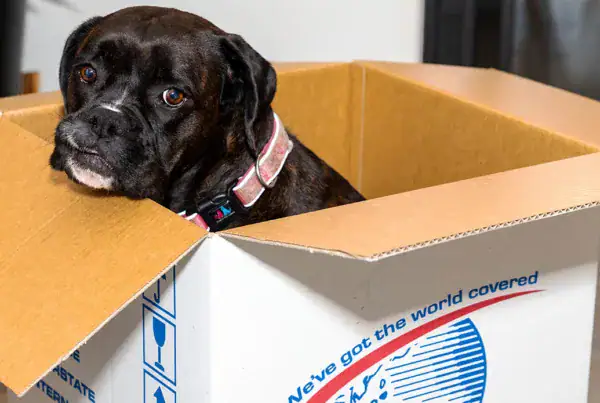 Overseas Shipping