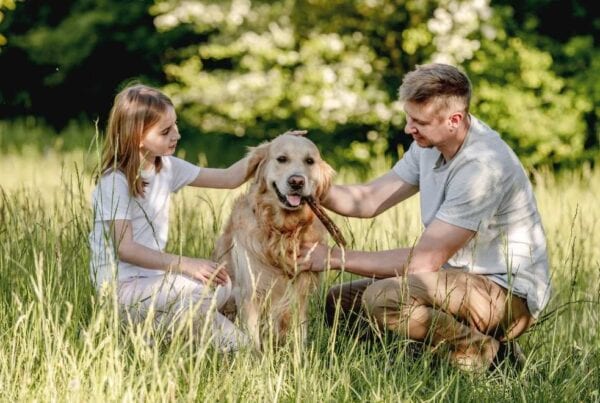 Moving pets to Australia