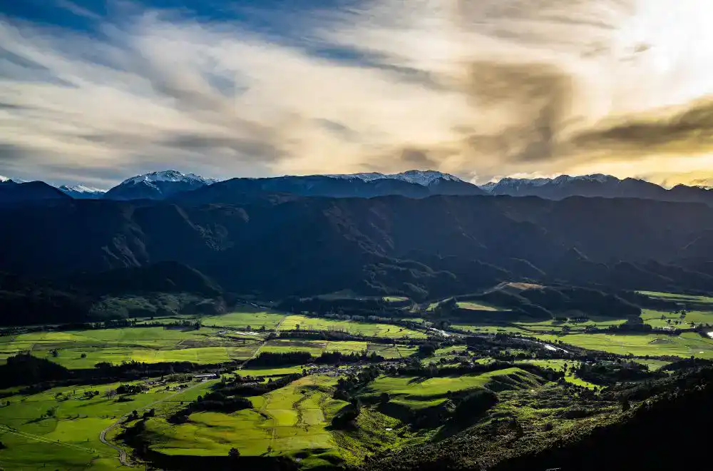 What to Ship and What to Leave Behind When Moving from Australia to New Zealand