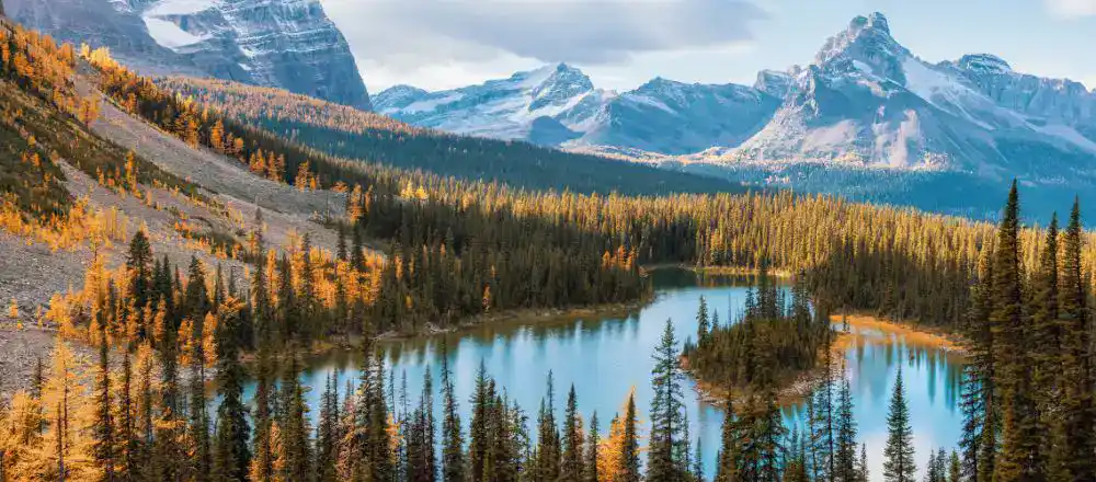 Customs Requirements When Relocating to Canada